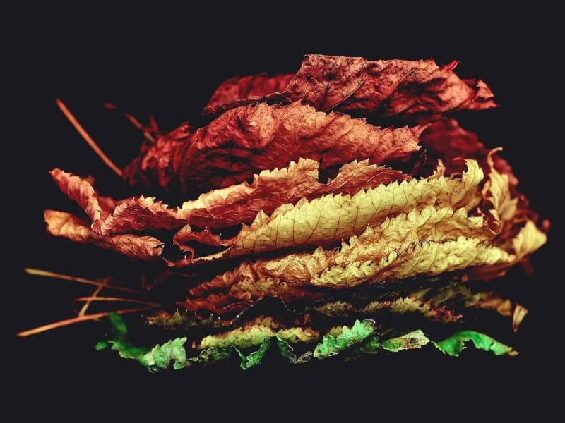 e2e-1776467113367-n8tqrn refund RU