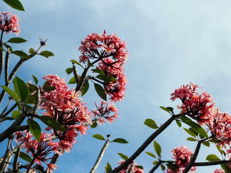 e2e-1776467774368-1byu7v refund AR