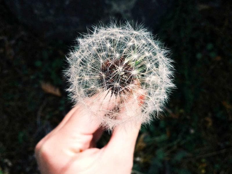 e2e-1776536189328-oo3377 idempotent booking AR